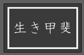 Custom Order for Toni Sperlbaum